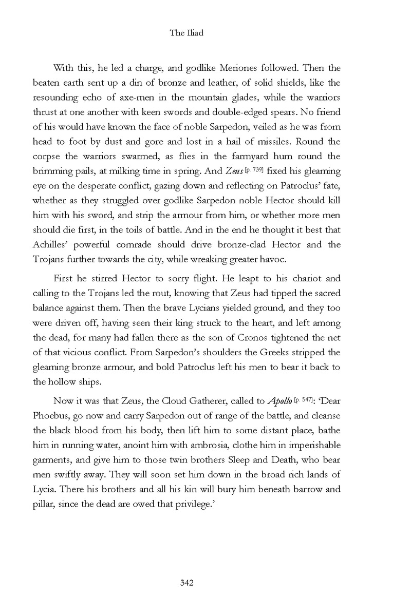 The Iliad - Page 336